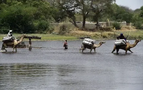 Lac Tchad